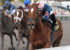 Golden Mystery Back With Wolfson After Sale Golden Mystery Back With Wolfson After Sale