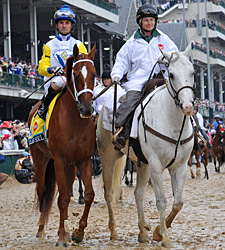 The Morning After: Derby Also-Rans Moving On The Morning After: Derby Also-Rans Moving On
