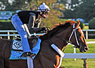 Golden Soul in Allowance at Kentucky Downs Golden Soul in Allowance at Kentucky Downs