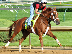 Golden Soul Back on Track for Belmont Golden Soul Back on Track for Belmont
