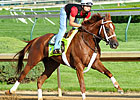 Golden Soul Aback on Clue for Belmont