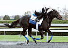 Breeders' Cup Hopefuls on Keeneland Worktab Breeders' Cup Hopefuls on Keeneland Worktab