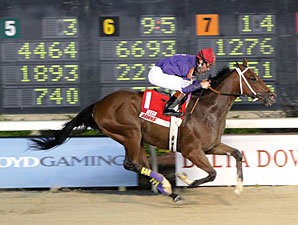 Golden Yank Targets Zia Park Derby Golden Yank Targets Zia Park Derby