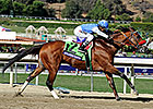 Nine Expected in Cigar Mile Nine Expected in Cigar Mile