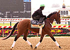 Orb Pleases, Goldencents Settles at Pimlico
