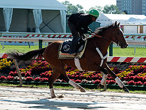 Orb Gallops; No Workout for Goldencents Orb Gallops; No Workout for Goldencents
