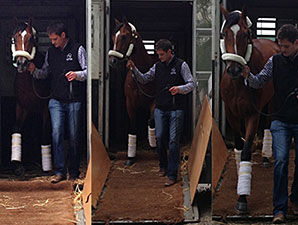 Team O'Neill Back for Another