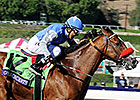 Goldencents Set to Run Next in Cigar Mile Goldencents Set to Run Next in Cigar Mile