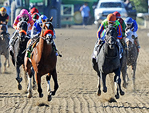 Goldencents Blazes in Dirt Mile Victory Goldencents Blazes in Dirt Mile Victory