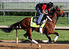 Goldencents 5-1 Derby Fave in Early Wagering