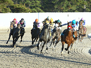 Radio Coverage Set for Delta Downs Jackpot Radio Coverage Set for Delta Downs Jackpot