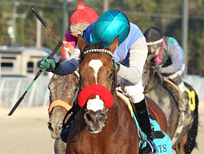 Goldencents' Season Gets Started for O'Neill Goldencents' Season Gets Started for O'Neill