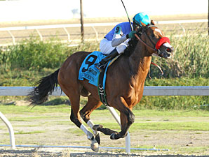 Delta Downs Reports 12.5% Handle Spike Delta Downs Reports 12.5% Handle Spike