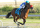 Delta Downs Reports 12.5% Handle Spike