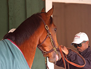 Krigger: Preakness Dreams and Racing History Krigger: Preakness Dreams and Racing History