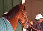 Krigger: Preakness Dreams and Racing History Krigger: Preakness Dreams and Racing History