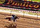 Goldencents Turns in Strong Gallop Goldencents Turns in Strong Gallop