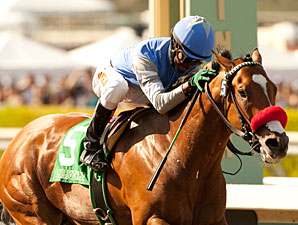Goldencents Facing Older Sprinters in Crosby Goldencents Facing Older Sprinters in Crosby