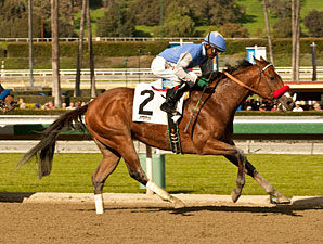 Goldencents Teams With Rosario in Pat O'Brien Goldencents Teams With Rosario in Pat O'Brien