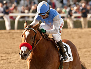 O'Neill Tries Tactical Change for Goldencents O'Neill Tries Tactical Change for Goldencents