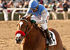 O'Neill Tries Tactical Change for Goldencents O'Neill Tries Tactical Change for Goldencents