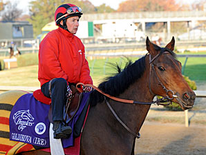 Head: Goldikova Better Than Ever Head: Goldikova Better Than Ever