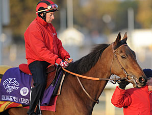 Goldikova's 3-Peat Bid Begins from Post 10 Goldikova's 3-Peat Bid Begins from Post 10