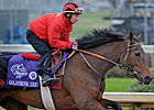 Goldikova Eyes Repeat in Prix de la Foret Goldikova Eyes Repeat in Prix de la Foret