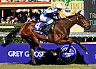 Slideshow: Breeders Cup Mile 1984-2010 Slideshow: Breeders Cup Mile 1984-2010