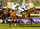 Goldikova on Course for Three-peat