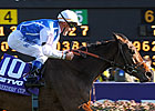 Goldikova Repeats as Top Female on Turf Goldikova Repeats as Top Female on Turf