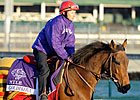 Slideshow: 2011 Breeders' Cup Works