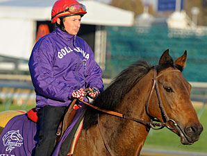 Goldikova's First Foal Is a Colt Goldikova's First Foal Is a Colt