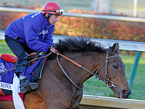 Mixed Emotions for Goldikova's Trainer Mixed Emotions for Goldikova's Trainer