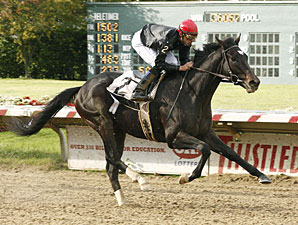 Gone Astray Finds Right Path in Ohio Derby Gone Astray Finds Right Path in Ohio Derby