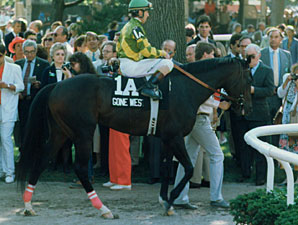 100 Stakes Winners and Counting for Gone West 100 Stakes Winners and Counting for Gone West