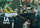 100 Stakes Winners and Counting for Gone West