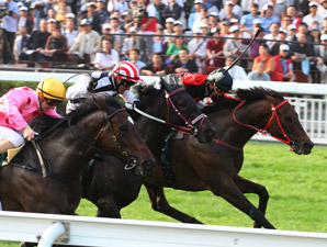Great Runner, Grand Bloodlines, Good Ba Ba Great Runner, Grand Bloodlines, Good Ba Ba