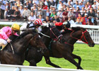 Good Ba Ba Gets Historic Threepeat in HK Mile Good Ba Ba Gets Historic Threepeat in HK Mile