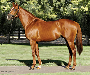 First Stakes Winner for Magali Sire First Stakes Winner for Magali Sire