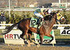 Good Luck Gus, Freudie Anne Win at Aqueduct Good Luck Gus, Freudie Anne Win at Aqueduct