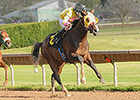 Good Luck Gus Takes NY Breeders' Futurity Good Luck Gus Takes NY Breeders' Futurity
