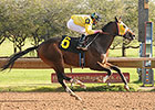 Good Luck Gus Heads Field for Sleepy Hollow Good Luck Gus Heads Field for Sleepy Hollow