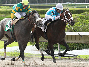 LaPenta's Easter Gift Steps Up for Pegasus LaPenta's Easter Gift Steps Up for Pegasus