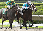 LaPenta's Easter Gift Steps Up for Pegasus LaPenta's Easter Gift Steps Up for Pegasus
