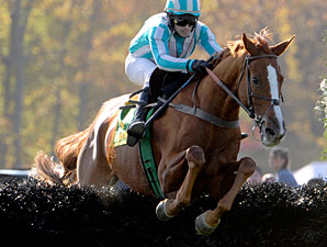 Grand National 'Chase: Good Night Again Grand National 'Chase: Good Night Again