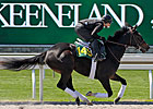 April Sale Juvenile to Race at Keeneland
