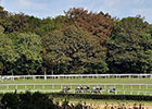 Qatar Sponsorship Boosts Goodwood Purses Qatar Sponsorship Boosts Goodwood Purses