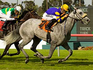 Gorgeous Goose Takes Wing in Wilshire Win Gorgeous Goose Takes Wing in Wilshire Win