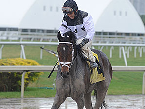 Velazquez Gets First Win Since Returning Velazquez Gets First Win Since Returning